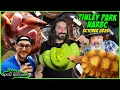 Tinley Park NARBC Reptile Expo October 2025 YOU PICK THE WINNER