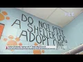 Abilene pet owners raise concerns over new animal ordinance
