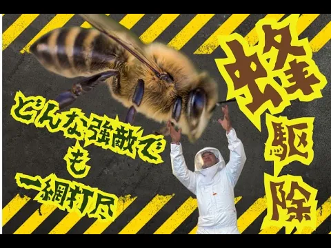 蜂駆除◉関西一円対応 即日対応OK★頼んで満足、安心施工