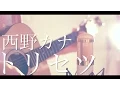 Lagu トリセツ / 西野カナ (cover)