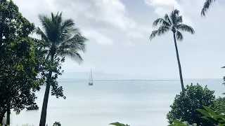 Ep 251 | Reefs Everywhere! Tricky Sailing to Portland Roads, Sailing Nutshell