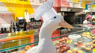 I took my duck to a Bakery