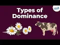 Genetics - Dominance and Its Types