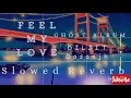 Diljit Dosanjh Feel My Love  (Slowed)  Intense  GHOST Latest Punjabi songs 2023