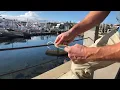 Tackle Tip Thursday Vol 177 Springer Knot