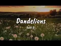 Ruth B- DANDELIONS (lyrics)
