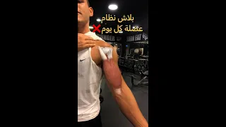 بلاش نظام عضلة كل يوم 