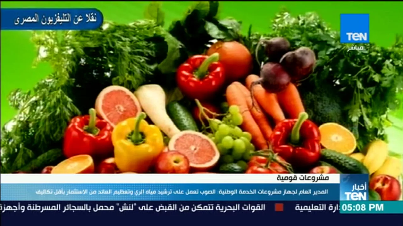 المُخبر الاقتصادي+ | لماذا يجب أن تفكر ألف مرة قبل أن تستقيل من وظيفتك لبدء مشروعك؟