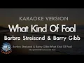 Download Lagu Barbra Streisand \u0026 Barry Gibb-What Kind Of Fool (MR/Instrumental) (Karaoke Version)