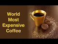 Download Lagu TOP 5 MOST EXPENSIVE COFFEE IN THE WORLD 2020