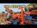 Splitting a Mountain of Wood with This Beast of a Machine!