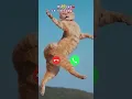 Download Lagu My cat is calling ☎️☎️☎️ #calls #cat #ringtone