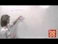 Open Campus Medical Terminology Module 7 - Breaking Down Difficult Words