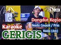 Download Lagu GERIGIS KARAOKE - NADA COWOK / PRIA - KARAOKE KOPLO TERBARU - TRENDING - VERSI MAHESA MUSIK - NADA9