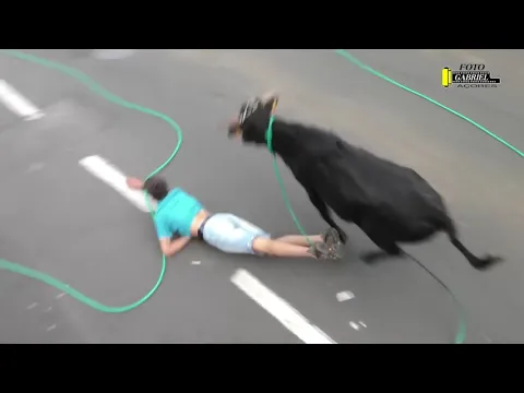PARA RIR COM S MARRADAS RESUMO DO DVD N62 1