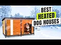 3 BEST Heated Dog Houses - Hurry Before the Cold Sets In