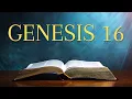 Genesis 16 - Bible NIV Read Along with Captions