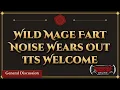 Wild Mage Fart Noise Wears Out Its Welcome The DDO Forum Report