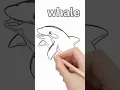 Cute Animal Coloring Pages Relax Color Enjoy