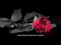 Mortadha ftiti - 2000 ktab (Tunisian lyrics & English Translation) | مرتضى فتيتي - 2000 كتاب