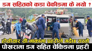 प्रहरी कुकुर सहित पोखराको सडकमा निस्किएपछि ! सचेत रहनुहोस प्रहरी निस्कीयो एक्सनमा Exclusive