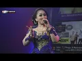 Download Lagu Lgm Ngimpi Sragenan || Kojak ft Ririk Campursari Arseka Music