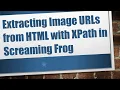 Extracting Image URLs from HTML with XPath in Screaming Frog