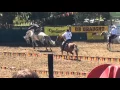 Lawrence Rodeo 2016 Open Saddle Bronc