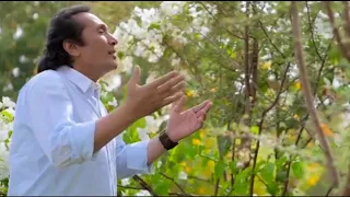 Ali El Haggar Ya Rab Emany Yekbar يا رب ايمانى يكبر علي الحجار 