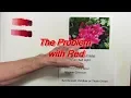 Download Lagu Quick Tip 214 - The Problem with Red
