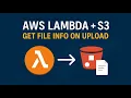 Write a lambda function to retrieves information about this file when you upload it in S3 bucket