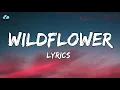 Yung Kai - Wildflower (lyrics)