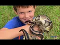 The Stowaway Snake at Grandma s House