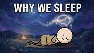 Why Do We Waste 1/3 of Our Lives Asleep?