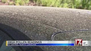 NC grass pollen levels hit highest-ever March numbers