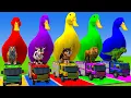 Download Lagu Long Slide Game With Cow Elephant Gorilla Hippopotamus Tiger 3d Animal Game Funny 3d Animals