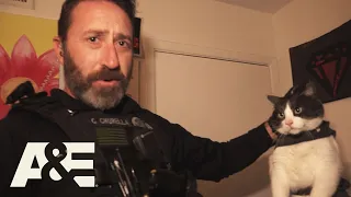live rescue cat gone wild season 2 a u0026e