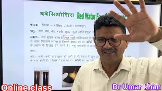 Red water l babesiosis l लाल पेशाब l Tick fever 