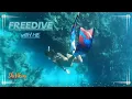 Lagu Girl Diving Underwater Bikini Swimming at Ellkhorn Reef 🪸