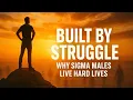 Download Lagu Redenen waarom Sigma-mannen een extreem moeilijk leven hebben!