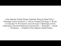 What Is Apache Camel Explained Simply
