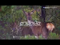 ตาฮักน้อ - เนส พรอำนาจ Remix Style Kondang DjThailand | ABC CLUB x RAPEEPHAT REMIX