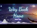 Nightcore - Way Back Home Violin Cover