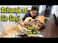 Download Lagu Chakkar kha ke Gir Gayi | Indian Vlogger in USA