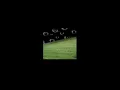 Download Lagu lost woods (slowed) by skywave