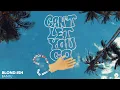 Download Lagu BLOND:ISH \u0026 Bantu - Can't Let You Go (Live @ Abracadabra LA)