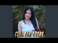 Download Lagu Culik aku dong