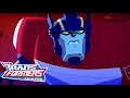 Transformers: Animated | SEASON 1B | FULL Episodes | Cartoon | Transformers Official