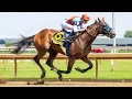 2026 Ellis Park Juvenile - Salahudin An Undefeated 2 Year Old Wins for Bob Baffert