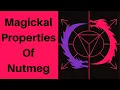 Magickal Properties of Nutmeg